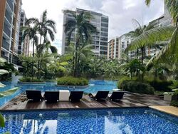 Coco Palms (D18), Condominium #463008821